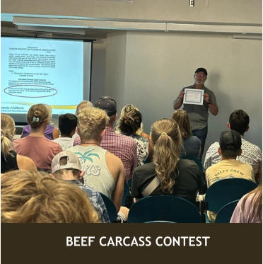 BEEF CARCASS CONTEST