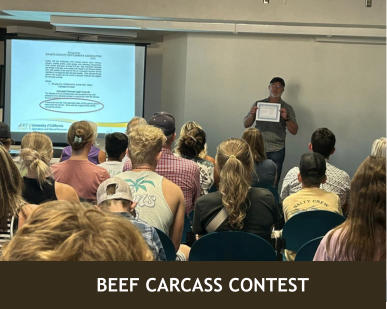 BEEF CARCASS CONTEST